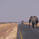 Botswana