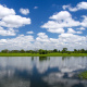 Yellow Water Billabong