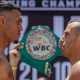 WBC