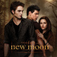 The Twilight Saga: New Moon