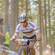 Scott Scale RC