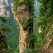 Avatar Hallelujah Mountain