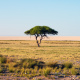 Etosha Pan