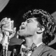 Shure 55