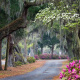 Bonaventure Cemetery
