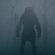 Feral Predator