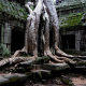 Ta Prohm