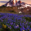 Mount Rainier