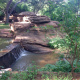 Bamako Botanical Garden