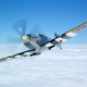 Royal Air Force