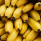 Cavendish banana