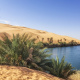Umm al-Ma Lake