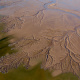 Colorado River Delta