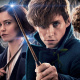 Eddie Redmayne