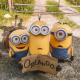 ORLANDO