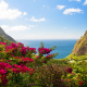 Pitons