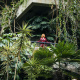 Barbican Conservatory