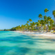 Tropical beach palm trees