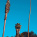 Volkswagen Type 2