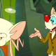 Acme Labs