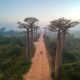 Morondava
