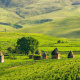 Caucasus