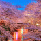 Meguro River