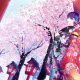 Mikan Sakura