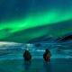 Arctic