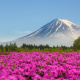 Mount Fuji