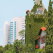 San Jose State University