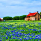 Texas Hill Country