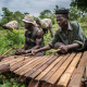Balafon