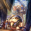 Lux Crownguard