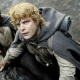Samwise Gamgee