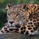 Kruger National Park