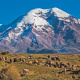Chimborazo