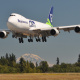 Seattle Seahawks