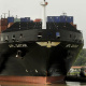 APL Qatar