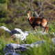 Cantabrian Mountains