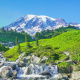 Paradise River