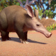 Planet Zoo