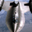 Lockheed D-21