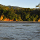 Manu River