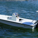 Dolphin Boats