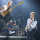 Sting