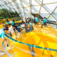 Discovery Slides