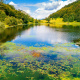 Sutjeska National Park