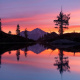 Mount Shasta