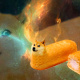 Doge